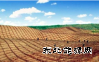 植树种草筑起“绿色长城”