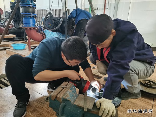 蒲白白水社区：职场“菜鸟”成长记