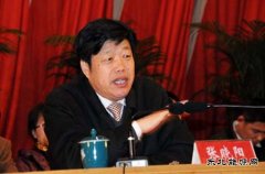 张晓阳：十三五期间 燃料乙醇应由试点转向全面推广