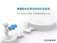 王鹏：配电改革百个试点背后危机四伏