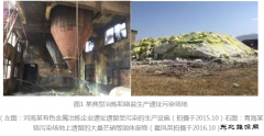 中国环境修复的产业化及健康发展初步建议