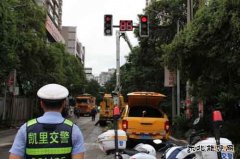 凯供城区分局：政企联手合力啃下树障“硬骨头”助亮剑保安全