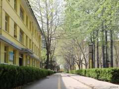 蒲白西固煤业：把“小家碧玉”打扮成“大家闺秀”促煤炭销售