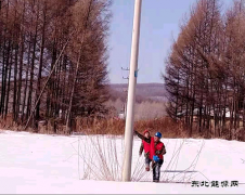 兴凯湖电业公司：最美人间三月天，踏雪巡线正当时