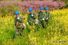 江西婺源：花香“电亮”农家乐