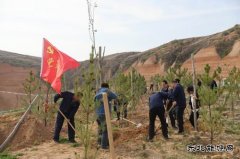 陕煤陕北矿业涌鑫公司：争做党史学习“领头雁”