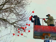 蒲白中心社区：雪打灯笼迎新年 美丽蒲白年味浓