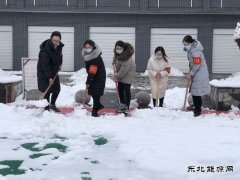 蒲白矿业技校联合党委：党员除雪当先锋 志愿服务打头阵