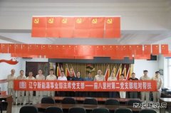 精准帮扶：党建引领乡村振兴
