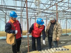 国网牡丹江东宁市供电公司：撑起“安全伞”助力企业“开门红”