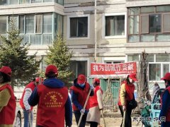 国网牡丹江东宁市供电公司：志愿队伍进小区，环境治理齐参与