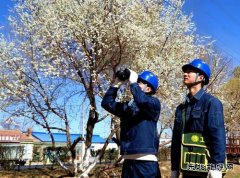 国网敖汉旗供电公司：青山灼灼巡线早 护航春灌保电忙