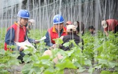 国网阿鲁科尔沁旗供电公司：电力赋能奏响乡村振兴“交响曲”