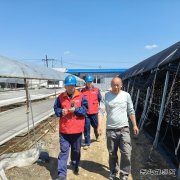 国网牡丹江东宁市供电公司：服务菌农 助力木耳产业用电安全