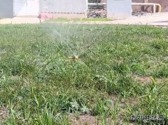 牛儿庄采矿公司：废水巧利用环保又节能